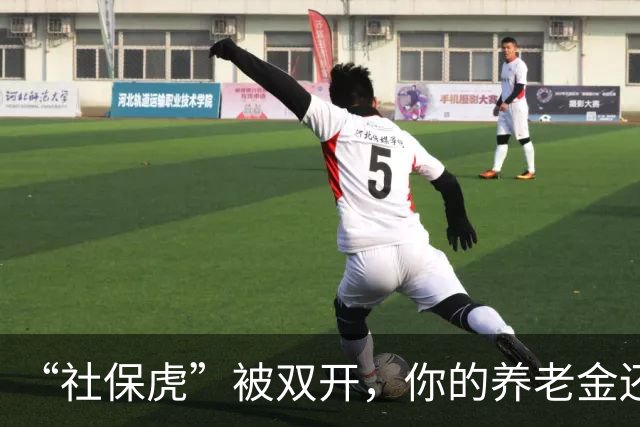 “社保虎”被双开，你的养老金还好吗？