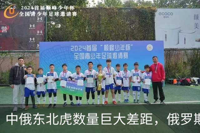 中俄东北虎数量巨大差距，俄罗斯750只，中国数据令人震惊？