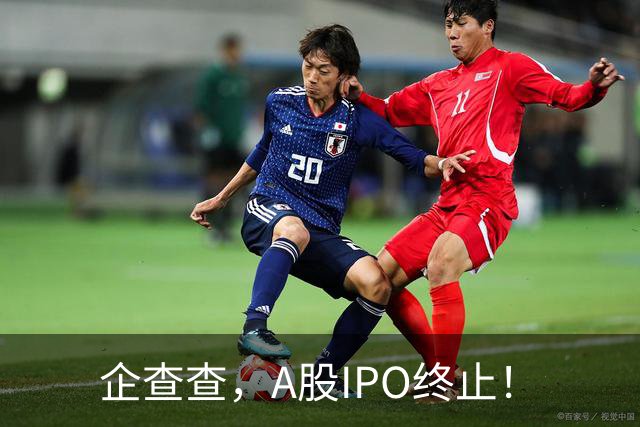 企查查，A股IPO终止！