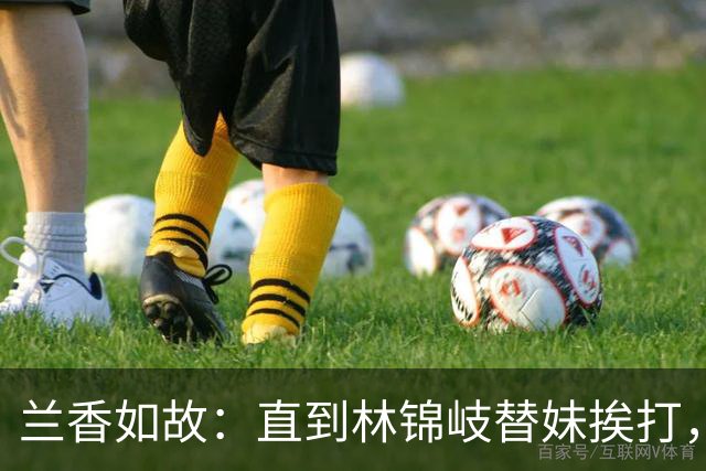 兰香如故：直到林锦岐替妹挨打，才明白他为什么宁死，也要保护妹妹