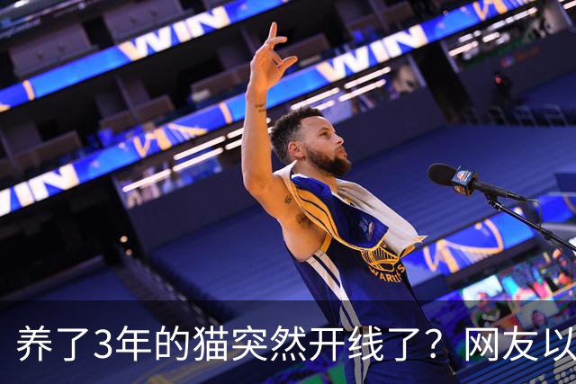 养了3年的猫突然开线了？网友以为是玩具，点开一看笑喷：快缝上