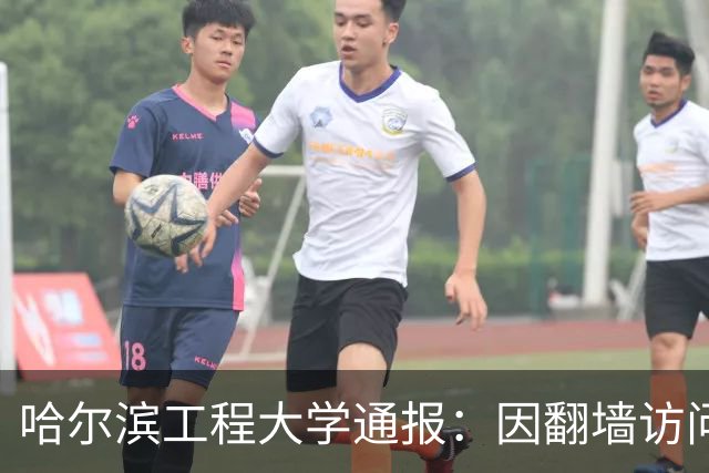 哈尔滨工程大学通报：因翻墙访问境外网络，对20名学生进行警告处分