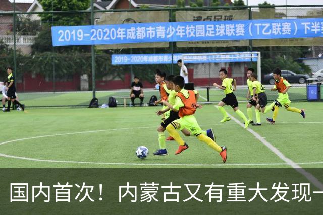国内首次！内蒙古又有重大发现→