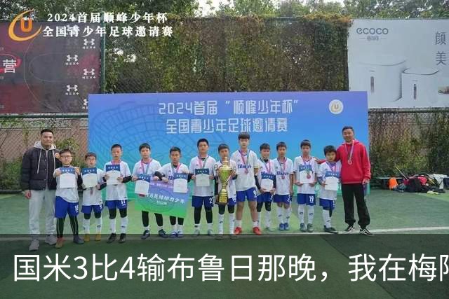 国米3比4输布鲁日那晚，我在梅阿查北看台听见了队史第一次