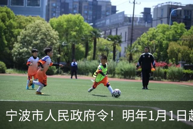 宁波市人民政府令！明年1月1日起施行