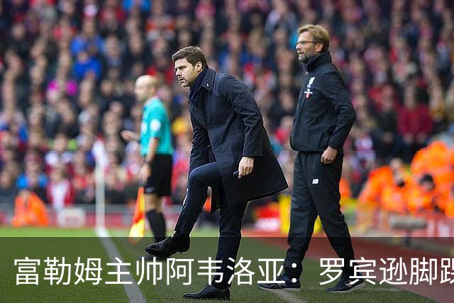 富勒姆主帅阿韦洛亚：罗宾逊脚踝伤情待定