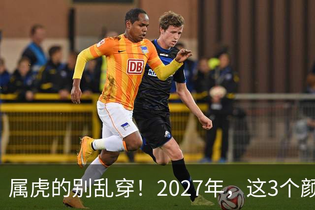 属虎的别乱穿！2027年，这3个颜色最旺你，事业财运感情全解析