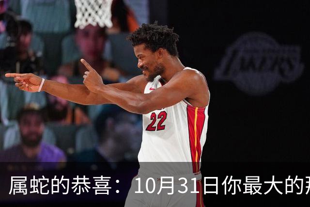 属蛇的恭喜：10月31日你最大的那位贵人，要现身了！