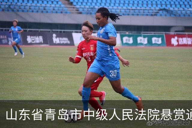 山东省青岛市中级人民法院悬赏通告