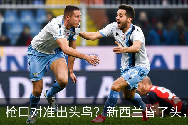枪口对准出头鸟？新西兰昏了头，派最大军舰闯台海，我军依法处置
