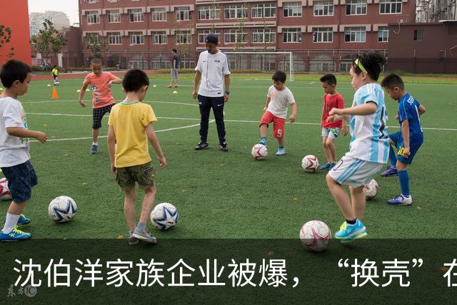 沈伯洋家族企业被爆，“换壳”在大陆谋利，沈伯洋回应露馅了？