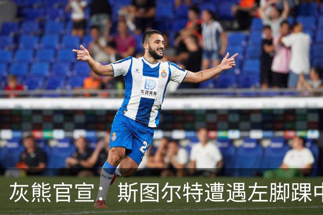 灰熊官宣：斯图尔特遭遇左脚踝中度扭伤 两周后接受重新评估