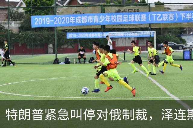 特朗普紧急叫停对俄制裁，泽连斯基紧急发声求援