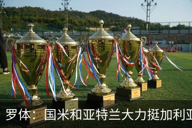 罗体：国米和亚特兰大力挺加利亚尼竞选足协主席