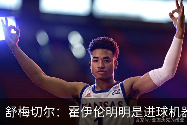 舒梅切尔：霍伊伦明明是进球机器，维韦尔来了偏要换成谢什科
