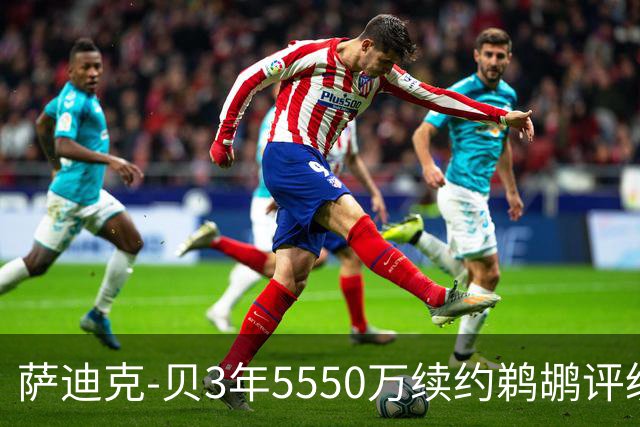萨迪克-贝3年5550万续约鹈鹕评级：B