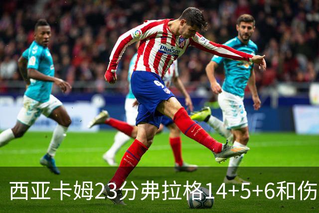 西亚卡姆23分弗拉格14+5+6&伤退 独行侠轻取步行者