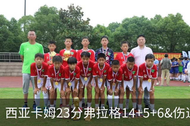 西亚卡姆23分弗拉格14+5+6&伤退 独行侠轻取步行者