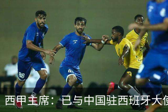 西甲主席：已与中国驻西班牙大使会面 寻求解决办法