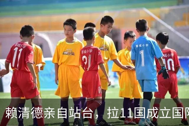 赖清德亲自站台，拉11国成立国际组织，大陆还没发话，岛内先拆台