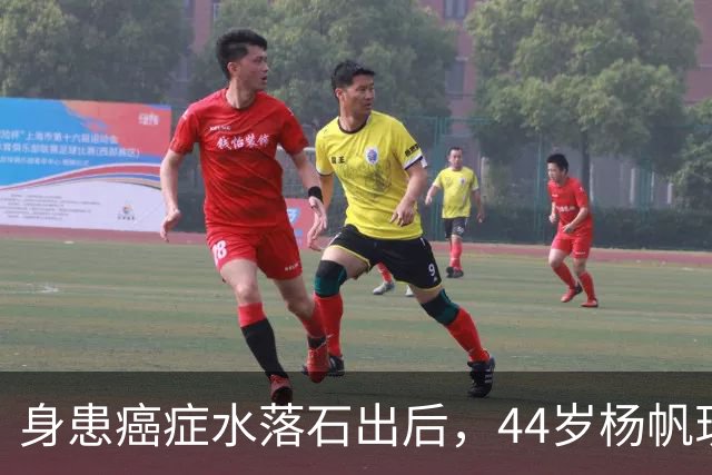 身患癌症水落石出后，44岁杨帆现状曝光，他竟悄悄走上另一条路