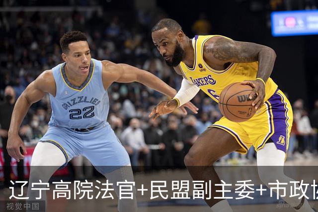 辽宁高院法官+民盟副主委+市政协副主席，三重身份同日“亮红灯”