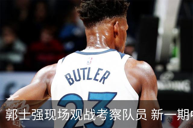 郭士强现场观战考察队员 新一期中国男篮名单悬念待解