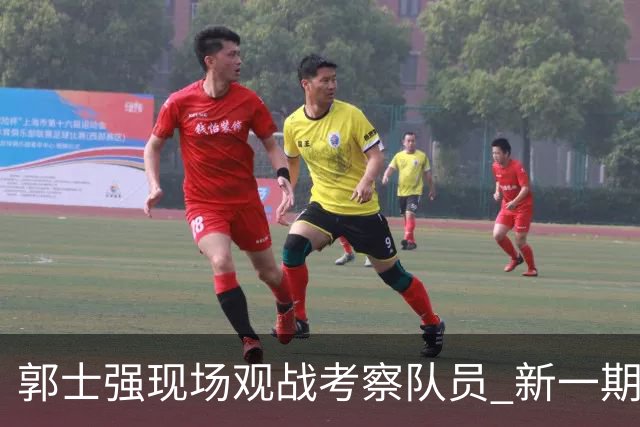 郭士强现场观战考察队员 新一期中国男篮名单悬念待解