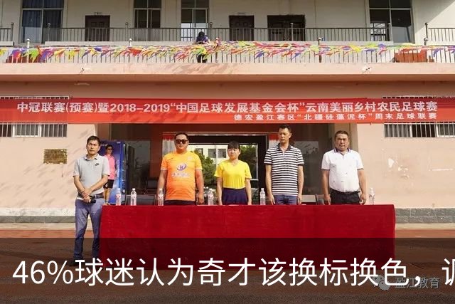 46%球迷认为奇才该换标换色，调查结果出炉