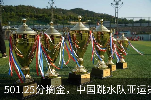 501.25分摘金，中国跳水队亚运第100金诞生
