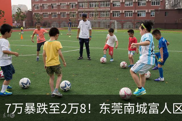 7万暴跌至2万8！东莞南城富人区熄火，千万资产腰斩谁在买单？